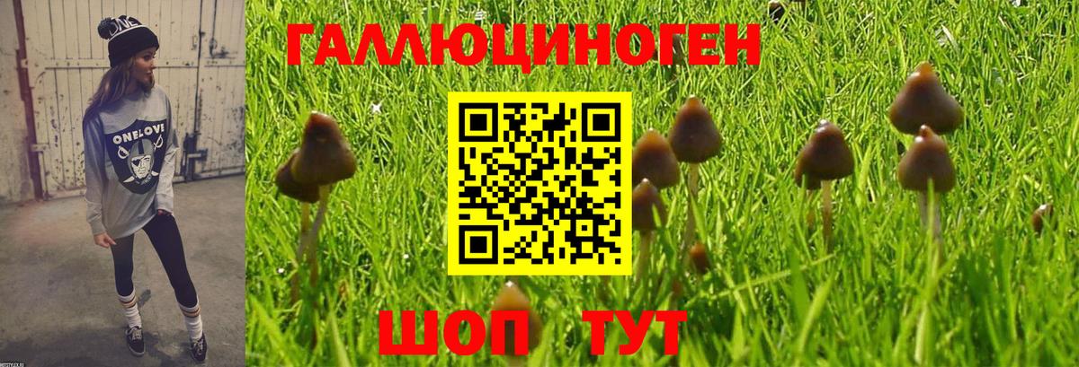 Псилоцибиновые грибы Psilocybe  сколько стоит  Чернушка  Галлюциногенные грибы мицелий  Вход с VPN 