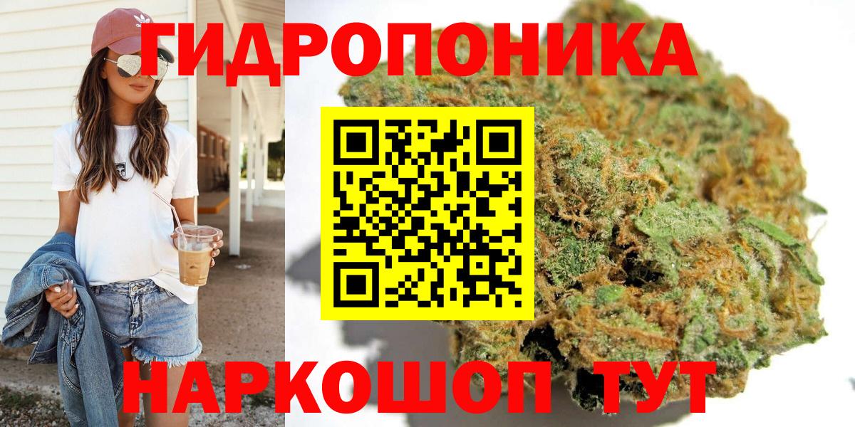 Бошки Шишки MAZAR  Канабис THC 21%  Конопля Ganja  Конопля THC 21%  Чернушка  Вход с VPN 